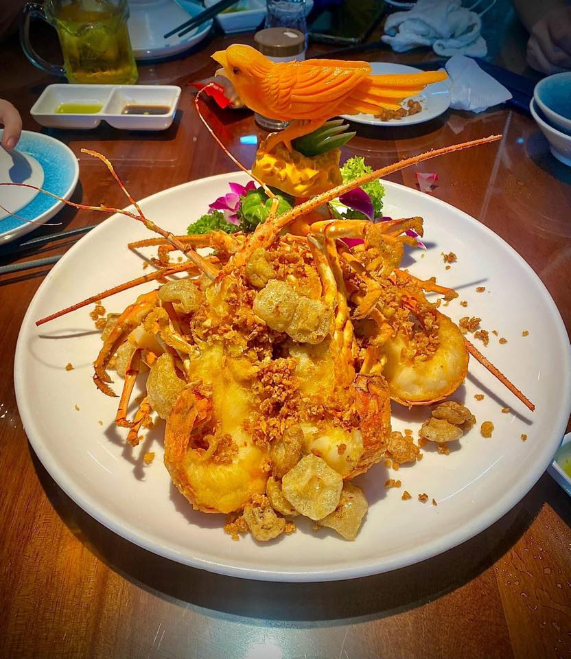 Dish Image
